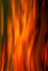 firelight_background_image_homepage